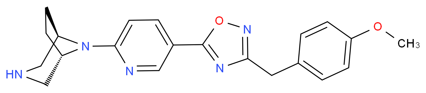 (1R*,5S*)-8-{5-[3-(4-methoxybenzyl)-1,2,4-oxadiazol-5-yl]pyridin-2-yl}-3,8-diazabicyclo[3.2.1]octane_Molecular_structure_CAS_)