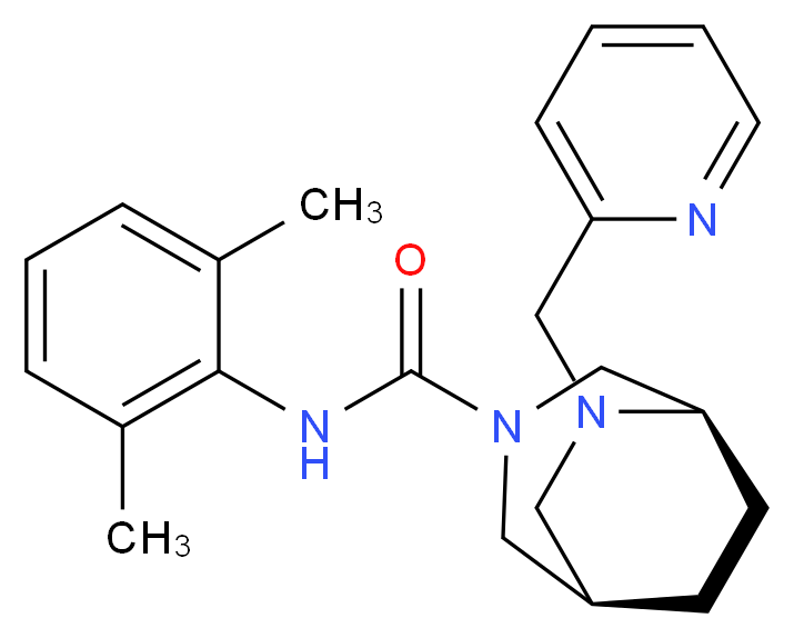 (1R*,5R*)-N-(2,6-dimethylphenyl)-6-(2-pyridinylmethyl)-3,6-diazabicyclo[3.2.2]nonane-3-carboxamide_Molecular_structure_CAS_)