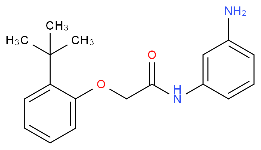 N-(3-Aminophenyl)-2-[2-(tert-butyl)phenoxy]-acetamide_Molecular_structure_CAS_)