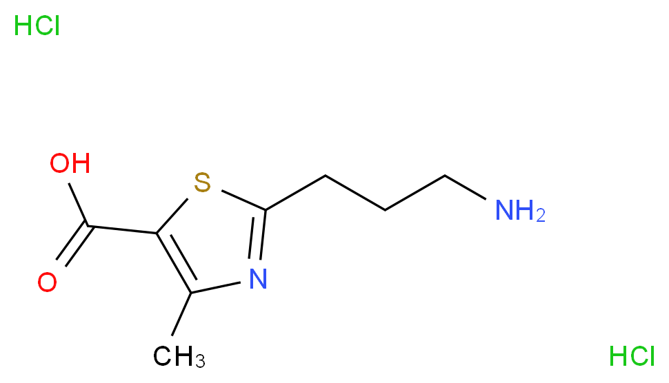 2-(3-aminopropyl)-4-methyl-1,3-thiazole-5-carboxylic acid dihydrochloride_Molecular_structure_CAS_)