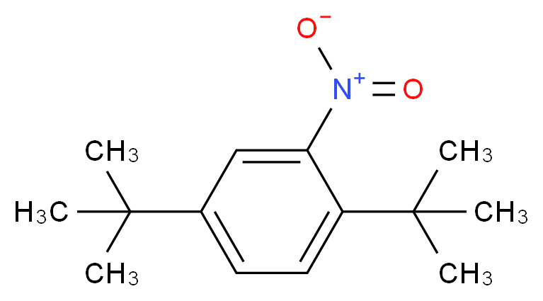 2,5-Di-tert-butylnitrobenzene_Molecular_structure_CAS_3463-35-2)