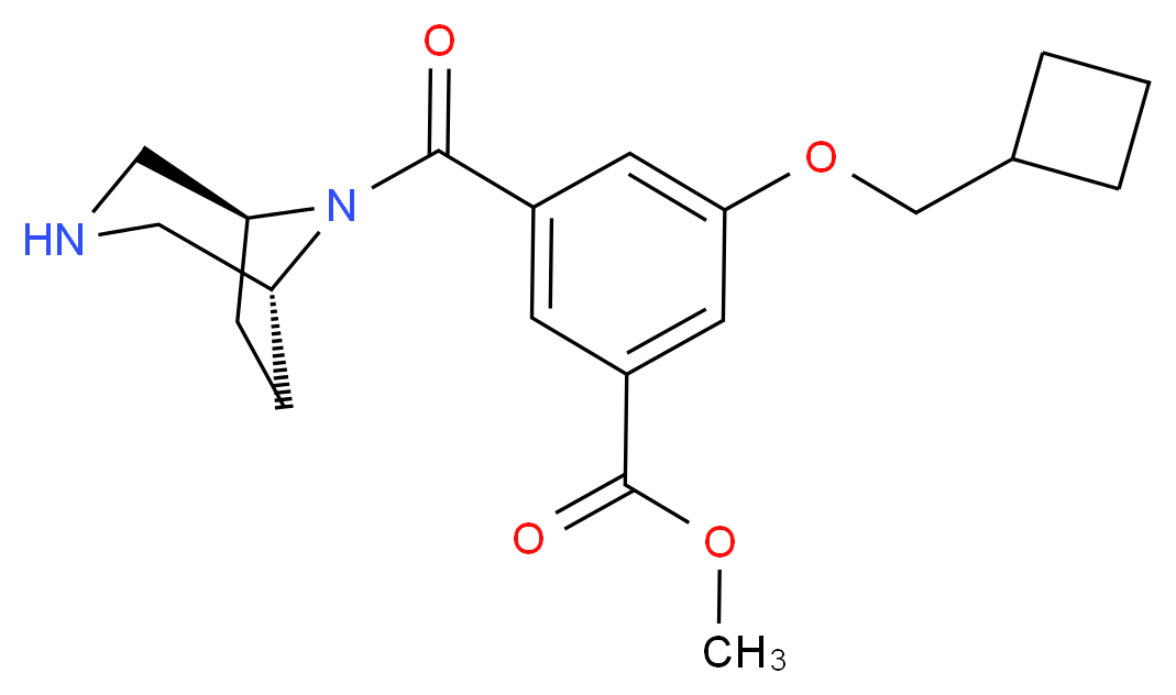 methyl 3-(cyclobutylmethoxy)-5-[(1R*,5S*)-3,8-diazabicyclo[3.2.1]oct-8-ylcarbonyl]benzoate_Molecular_structure_CAS_)