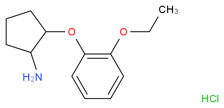2-(2-ethoxyphenoxy)cyclopentan-1-amine hydrochloride_Molecular_structure_CAS_)
