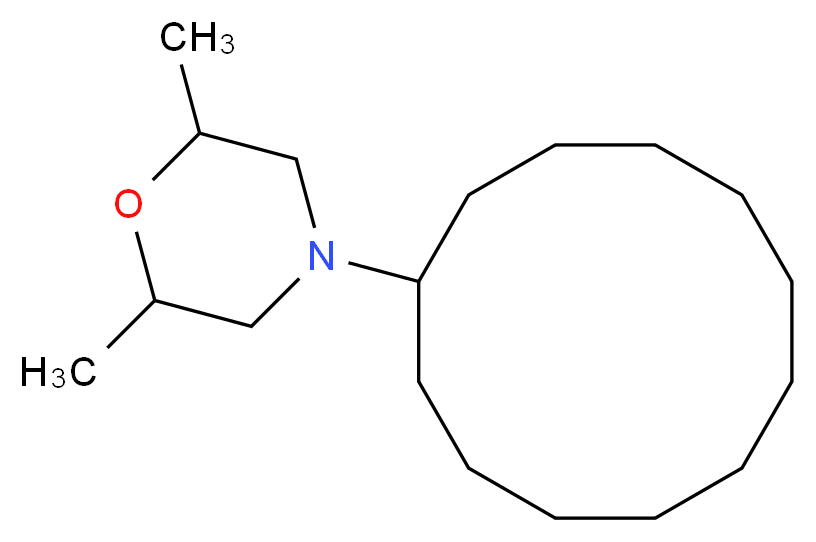 1593-77-7 molecular structure