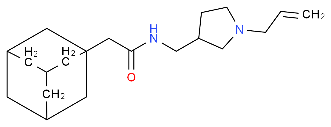 2-(1-adamantyl)-N-[(1-allylpyrrolidin-3-yl)methyl]acetamide_Molecular_structure_CAS_)