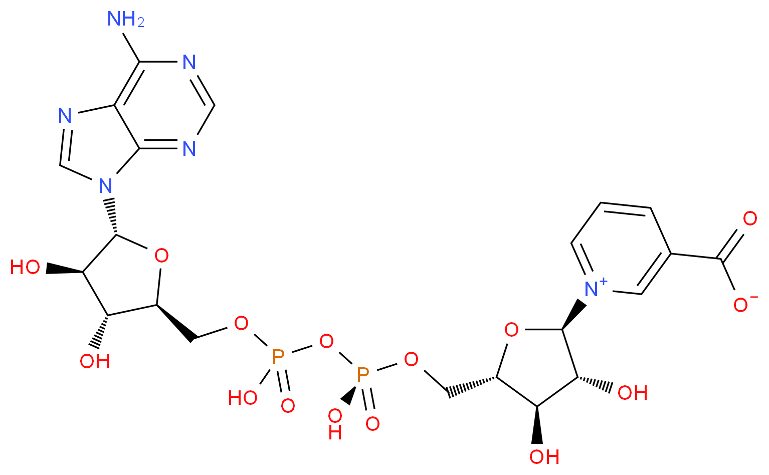 Deamido-Nad+_Molecular_structure_CAS_)