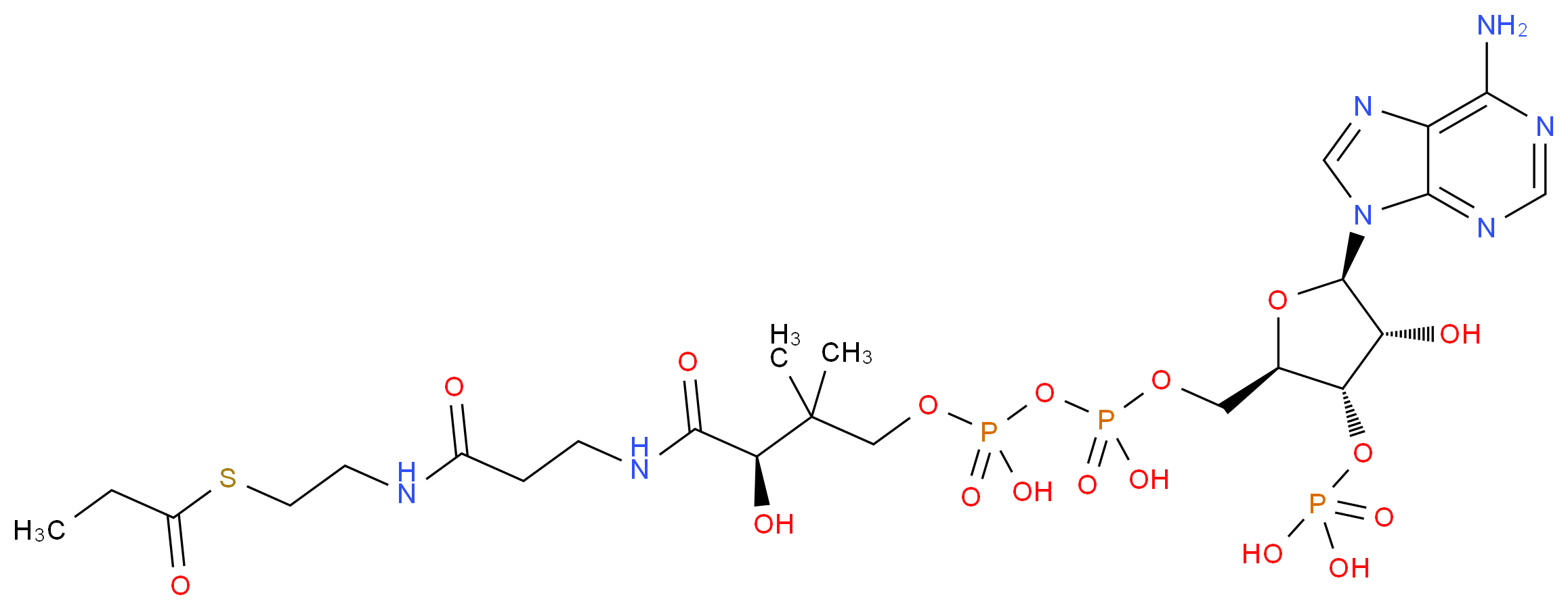 Propionyl Coenzyme A_Molecular_structure_CAS_317-66-8)