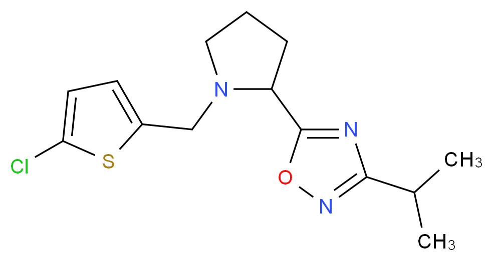 5-{1-[(5-chloro-2-thienyl)methyl]-2-pyrrolidinyl}-3-isopropyl-1,2,4-oxadiazole_Molecular_structure_CAS_)