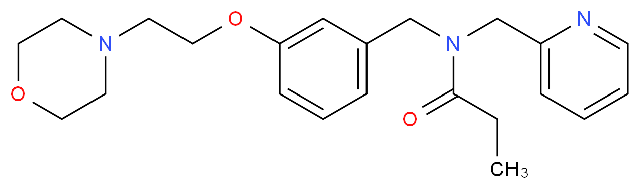 N-{3-[2-(4-morpholinyl)ethoxy]benzyl}-N-(2-pyridinylmethyl)propanamide_Molecular_structure_CAS_)