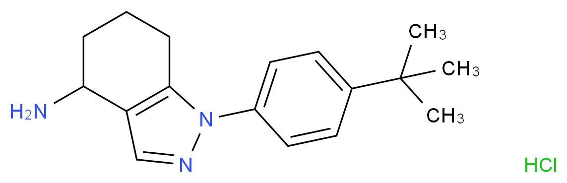 1-(4-tert-Butylphenyl)-4,5,6,7-tetrahydro-1H-indazol-4-amine hydrochloride_Molecular_structure_CAS_)
