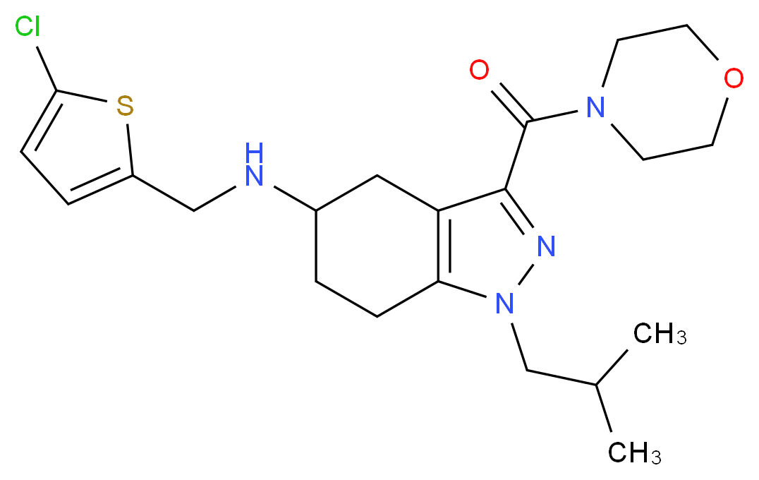 N-[(5-chloro-2-thienyl)methyl]-1-isobutyl-3-(4-morpholinylcarbonyl)-4,5,6,7-tetrahydro-1H-indazol-5-amine_Molecular_structure_CAS_)