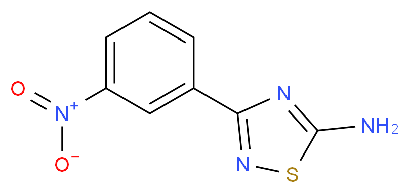 3-(3-Nitrophenyl)-1,2,4-thiadiazol-5-amine_Molecular_structure_CAS_115919-41-0)