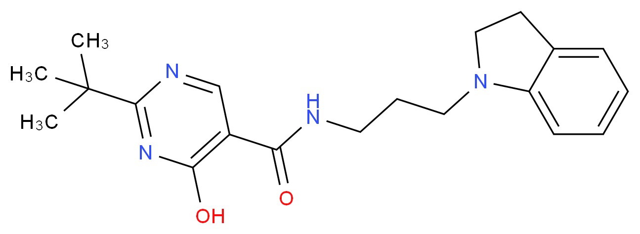 2-tert-butyl-N-[3-(2,3-dihydro-1H-indol-1-yl)propyl]-4-hydroxypyrimidine-5-carboxamide_Molecular_structure_CAS_)