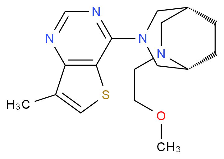4-[(1R*,5R*)-6-(2-methoxyethyl)-3,6-diazabicyclo[3.2.2]non-3-yl]-7-methylthieno[3,2-d]pyrimidine_Molecular_structure_CAS_)