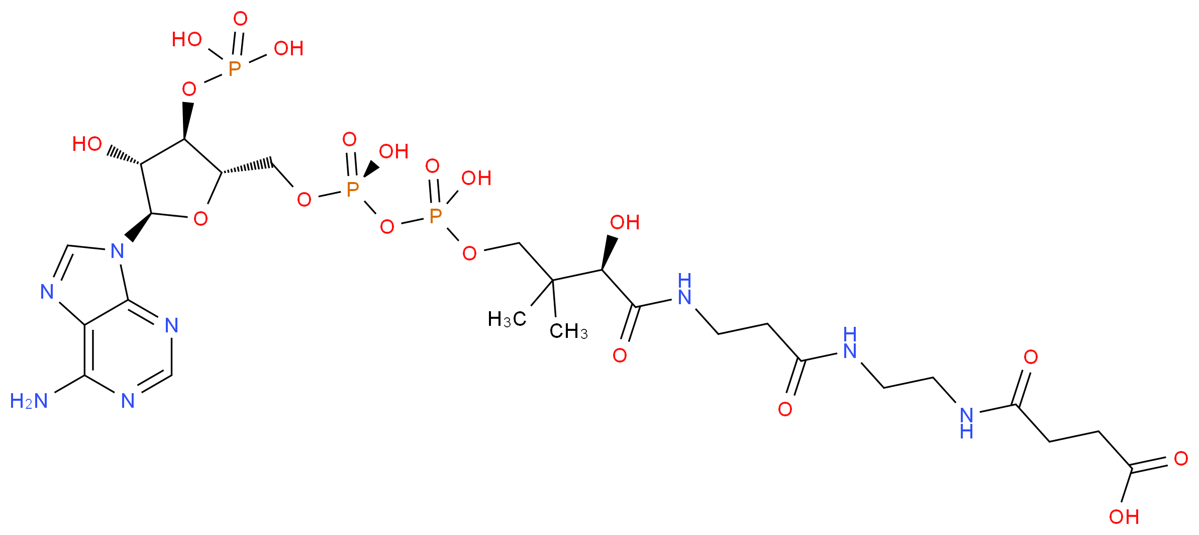 Succinamide-Coa_Molecular_structure_CAS_)