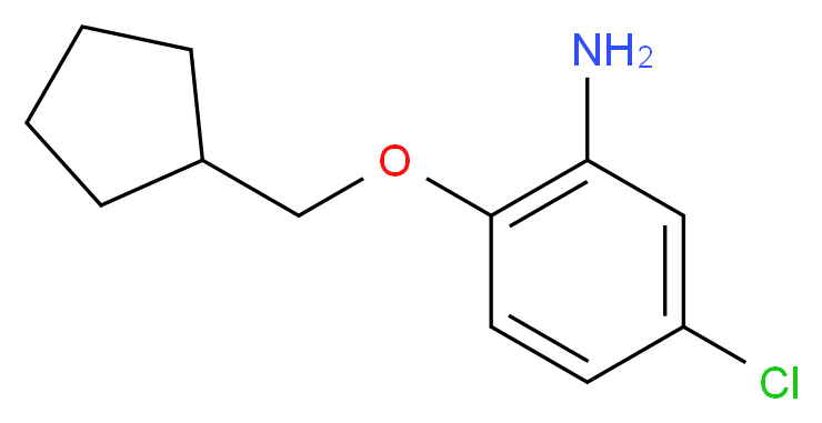 5-Chloro-2-(cyclopentylmethoxy)aniline_Molecular_structure_CAS_)