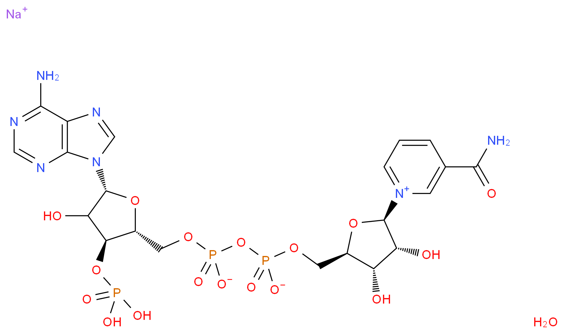 β-Nicotinamide adenine dinucleotide 3′-phosphate sodium salt hydrate_Molecular_structure_CAS_)