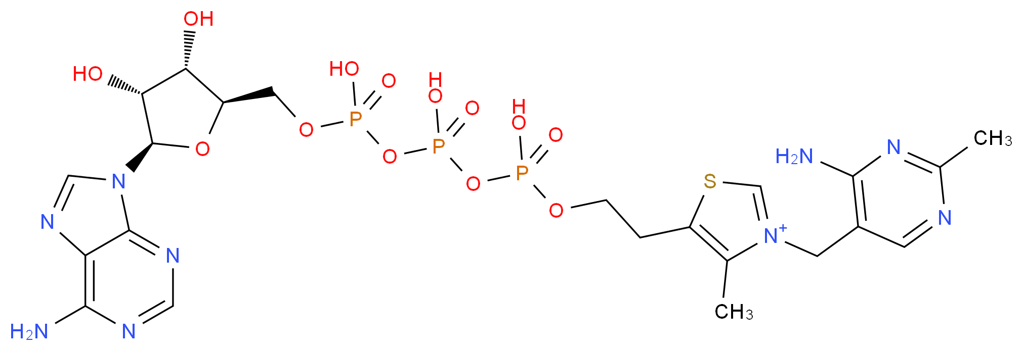 Adenosine thiamine triphosphate_Molecular_structure_CAS_30632-11-2)