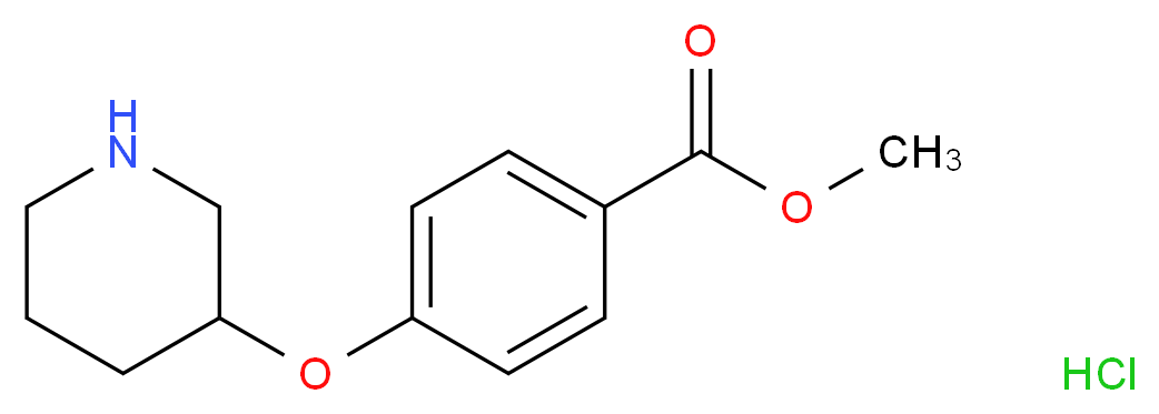 Methyl 4-(3-piperidinyloxy)benzoate hydrochloride_Molecular_structure_CAS_)
