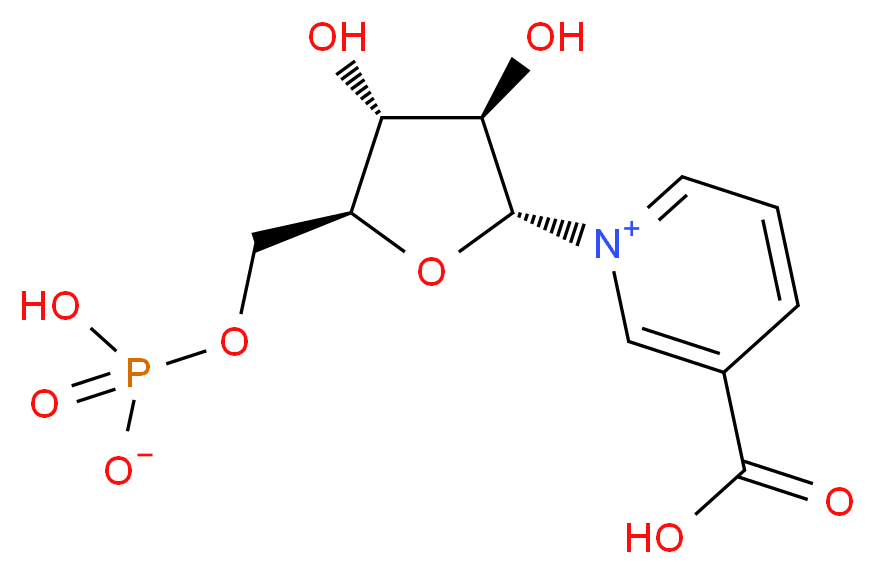 46509123 molecular structure