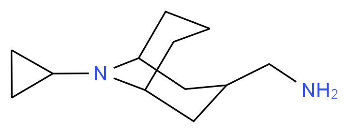 {9-cyclopropyl-9-azabicyclo[3.3.1]nonan-3-yl}methanamine_Molecular_structure_CAS_)