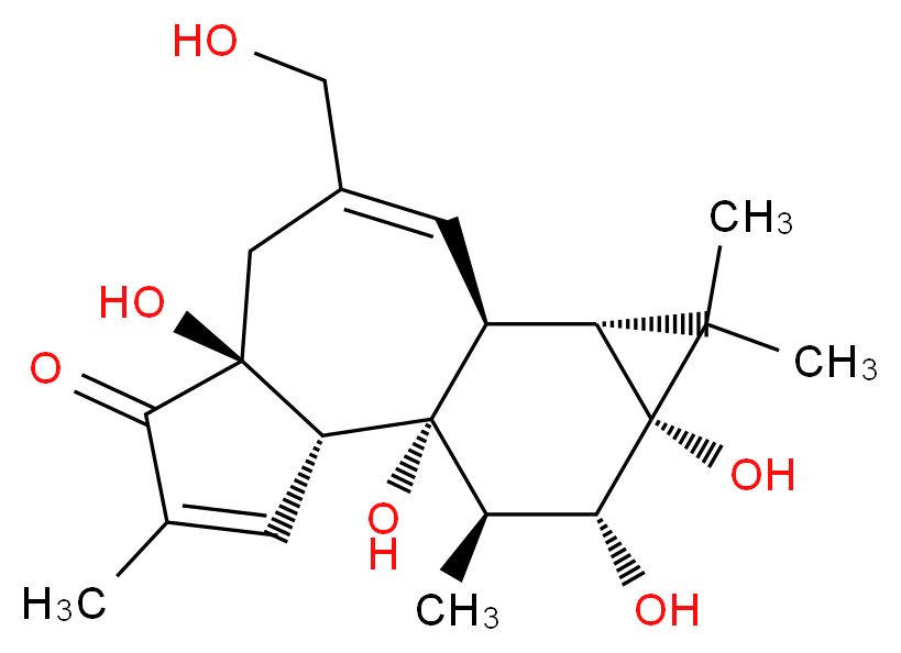 Phorbol_Molecular_structure_CAS_17673-25-5)