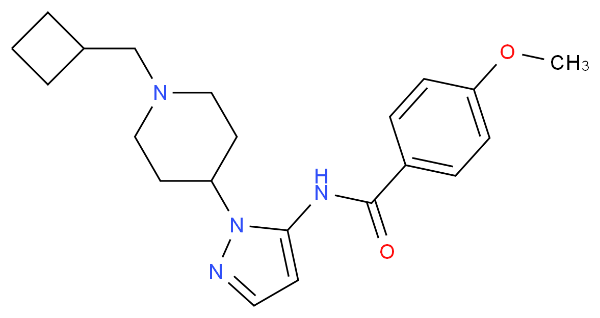 N-{1-[1-(cyclobutylmethyl)piperidin-4-yl]-1H-pyrazol-5-yl}-4-methoxybenzamide_Molecular_structure_CAS_)