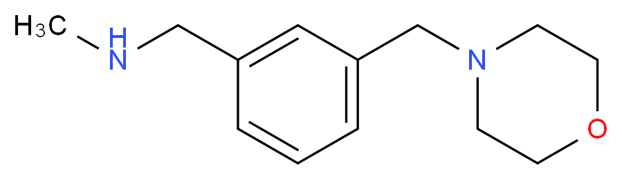 N-Methyl-N-[3-(morpholin-4-ylmethyl)benzyl]amine 95%_Molecular_structure_CAS_857283-92-2)