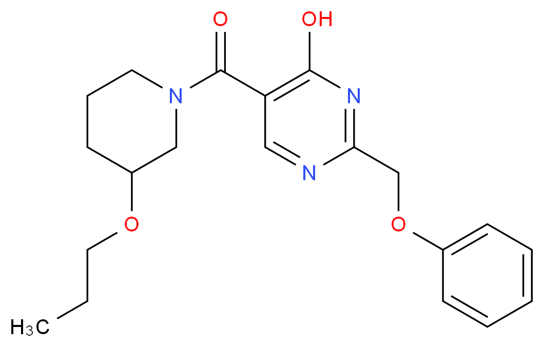 2-(phenoxymethyl)-5-[(3-propoxypiperidin-1-yl)carbonyl]pyrimidin-4-ol_Molecular_structure_CAS_)