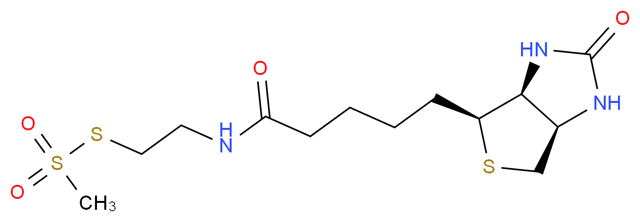 162758-04-5 molecular structure