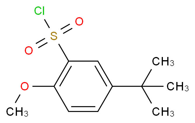 5-tert-butyl-2-methoxybenzenesulfonyl chloride_Molecular_structure_CAS_88041-83-2)