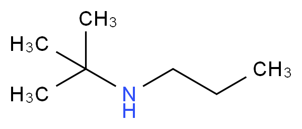 tert-butyl(propyl)amine_Molecular_structure_CAS_)