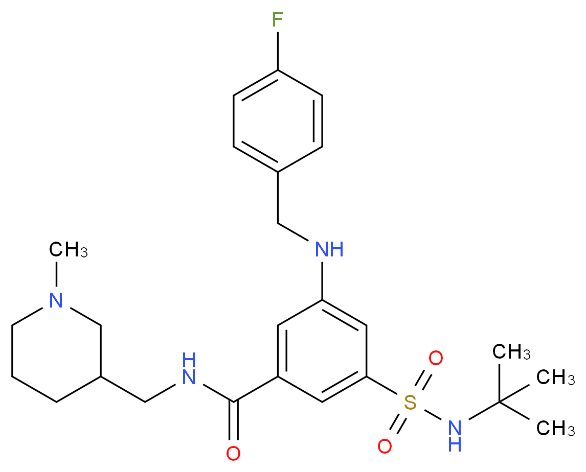 3-[(tert-butylamino)sulfonyl]-5-[(4-fluorobenzyl)amino]-N-[(1-methyl-3-piperidinyl)methyl]benzamide_Molecular_structure_CAS_)