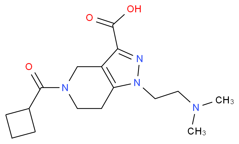 5-(cyclobutylcarbonyl)-1-[2-(dimethylamino)ethyl]-4,5,6,7-tetrahydro-1H-pyrazolo[4,3-c]pyridine-3-carboxylic acid_Molecular_structure_CAS_)