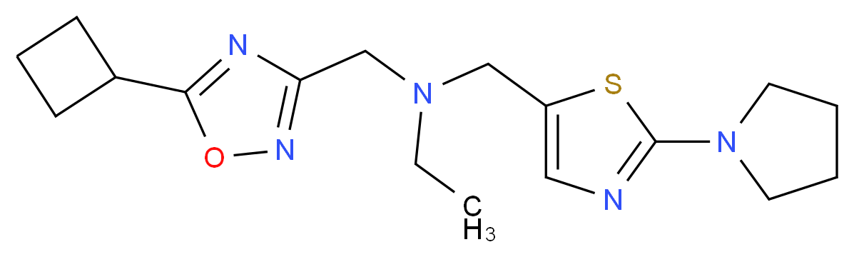 N-[(5-cyclobutyl-1,2,4-oxadiazol-3-yl)methyl]-N-[(2-pyrrolidin-1-yl-1,3-thiazol-5-yl)methyl]ethanamine_Molecular_structure_CAS_)