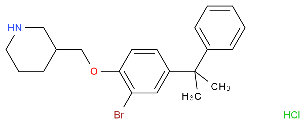 3-{[2-Bromo-4-(1-methyl-1-phenylethyl)phenoxy]-methyl}piperidine hydrochloride_Molecular_structure_CAS_)