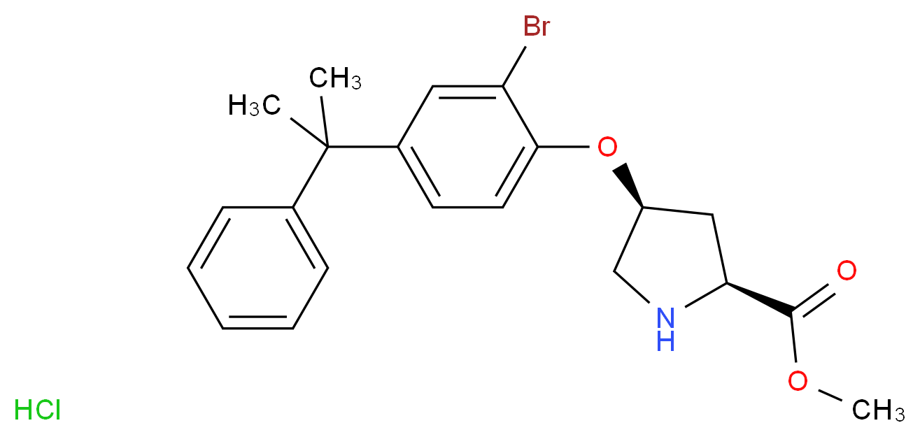 MFCD13561328 molecular structure