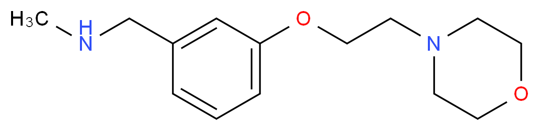 N-methyl-N-[3-(2-morpholin-4-ylethoxy)benzyl]amine_Molecular_structure_CAS_857284-10-7)
