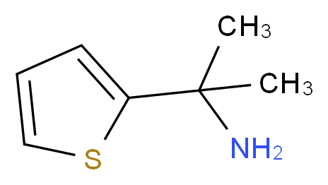 2-(thiophen-2-yl)propan-2-amine_Molecular_structure_CAS_81289-15-8)