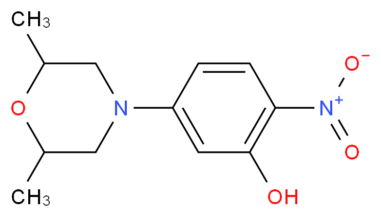 5-(2,6-dimethylmorpholino)-2-nitrophenol_Molecular_structure_CAS_175135-20-3)