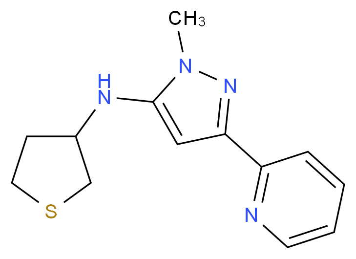 1-methyl-3-(2-pyridinyl)-N-(tetrahydro-3-thienyl)-1H-pyrazol-5-amine_Molecular_structure_CAS_)