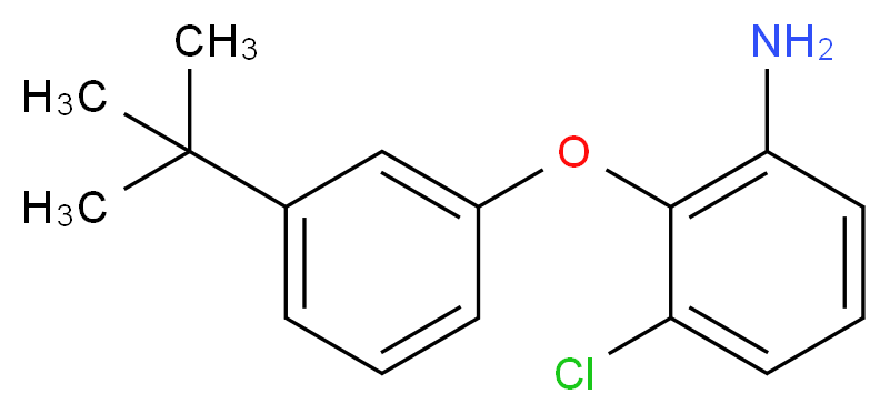 2-[3-(tert-Butyl)phenoxy]-3-chlorophenylamine_Molecular_structure_CAS_)