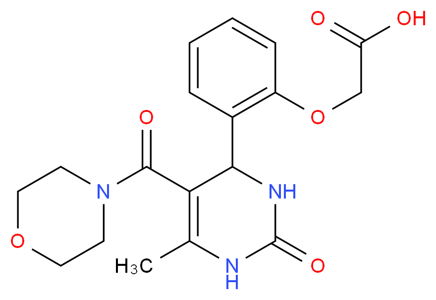 {2-[6-methyl-5-(morpholin-4-ylcarbonyl)-2-oxo-1,2,3,4-tetrahydropyrimidin-4-yl]phenoxy}acetic acid_Molecular_structure_CAS_)
