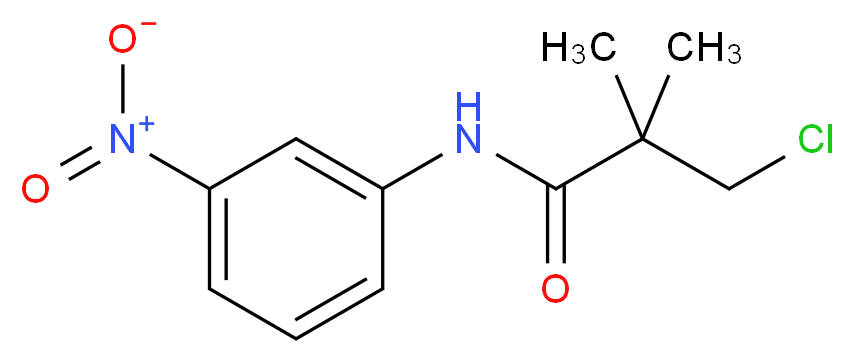 3-Chloro-2,2-dimethyl-N-(3-nitrophenyl)propanamide_Molecular_structure_CAS_)