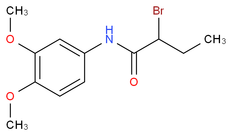 2-Bromo-N-(3,4-dimethoxyphenyl)butanamide_Molecular_structure_CAS_)