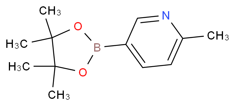 2-Picoline-5-boronic acid pinacol ester_Molecular_structure_CAS_610768-32-6)