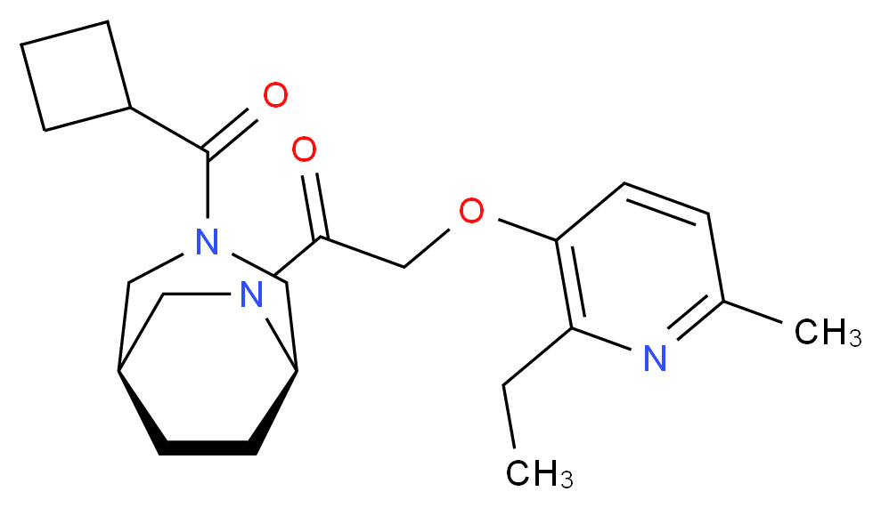 (1S*,5R*)-3-(cyclobutylcarbonyl)-6-{[(2-ethyl-6-methylpyridin-3-yl)oxy]acetyl}-3,6-diazabicyclo[3.2.2]nonane_Molecular_structure_CAS_)