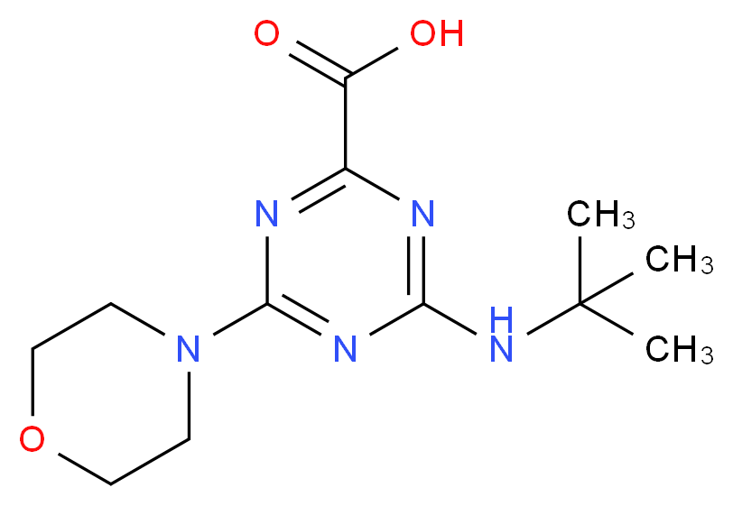 4-tert-Butylamino-6-morpholin-4-yl-[1,3,5]triazine-2-carboxylic acid_Molecular_structure_CAS_626223-45-8)