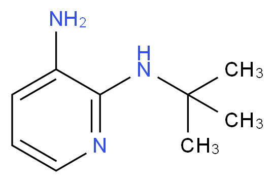 N2-(tert-Butyl)-2,3-pyridinediamine_Molecular_structure_CAS_)