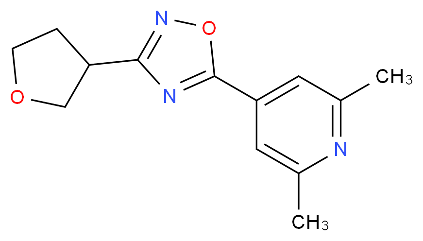 2,6-dimethyl-4-[3-(tetrahydrofuran-3-yl)-1,2,4-oxadiazol-5-yl]pyridine_Molecular_structure_CAS_)